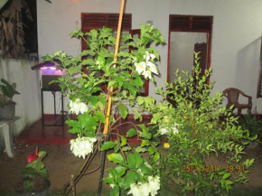 Отель Ariyawansa Guest House  Mirissa
